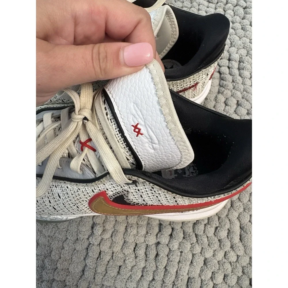 Nike lebron sneakers